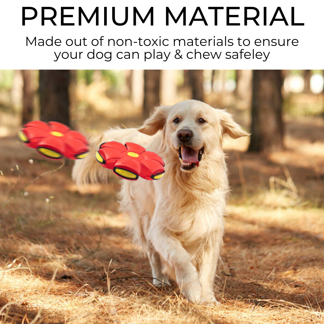 Red dog frisbee ball with yellow center and black ridged panels