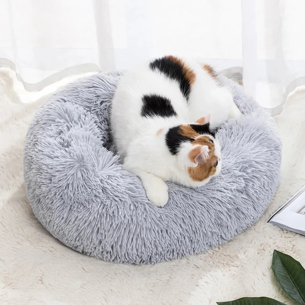Calico cat curled up sleeping in a grey round plush calming pet bed