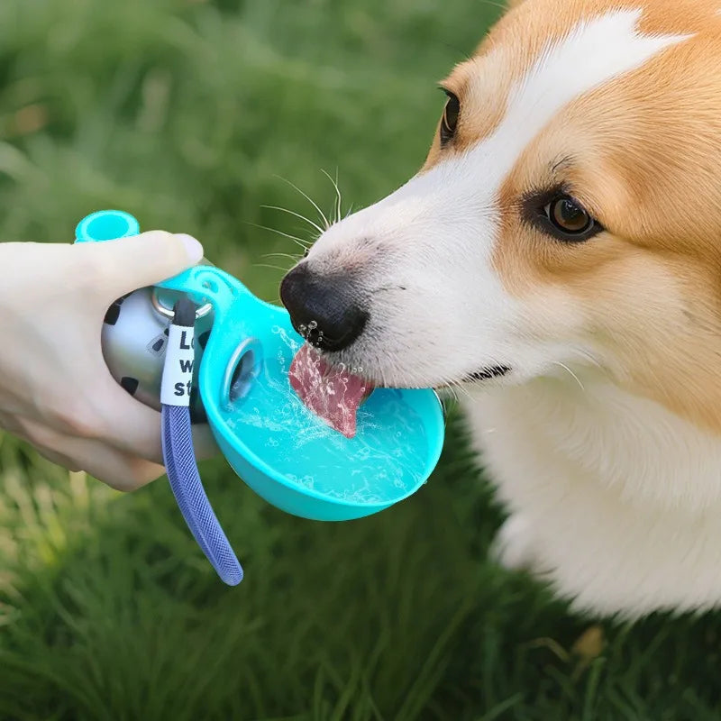 Corgi drinking water from a teal portable dog water bottle held outdoors