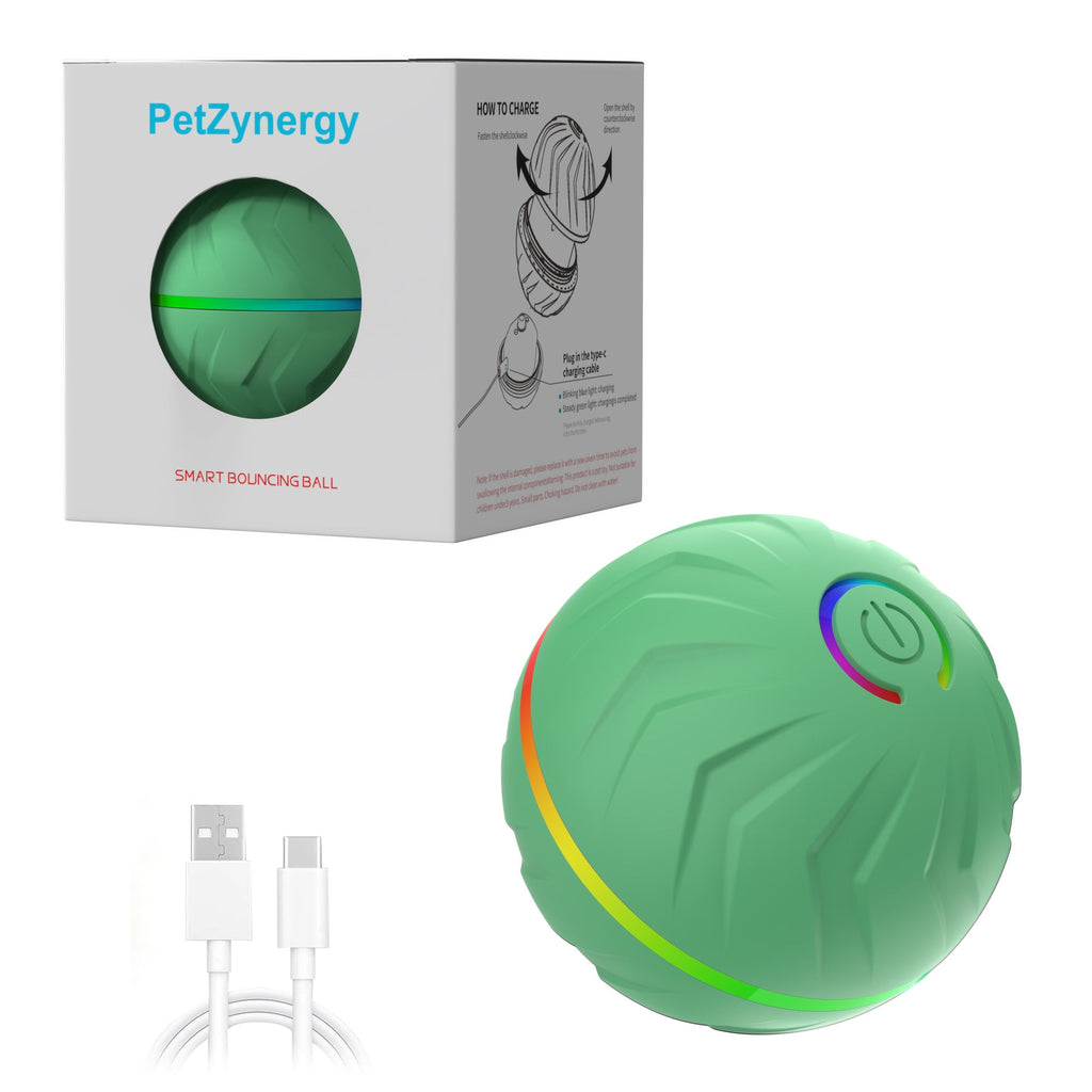 Interactive Pet Toy Ball with Gravity Bounce Offkind.