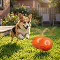 Dog chasing the bouncing gravity ball across the backyard